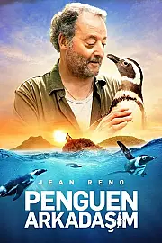 Penguen Arkadaşım