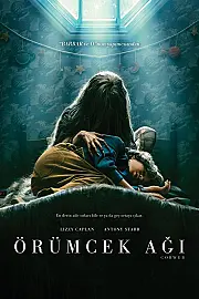 Örümcek Ağı izle
