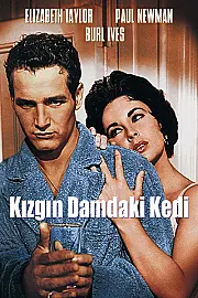 Kızgın Damdaki Kedi