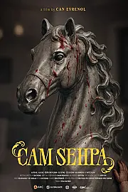 Cam Sehpa