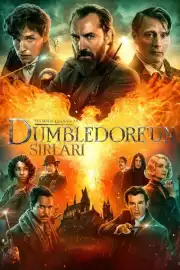 Fantastik Canavarlar: Dumbledore'un Sırları izle
